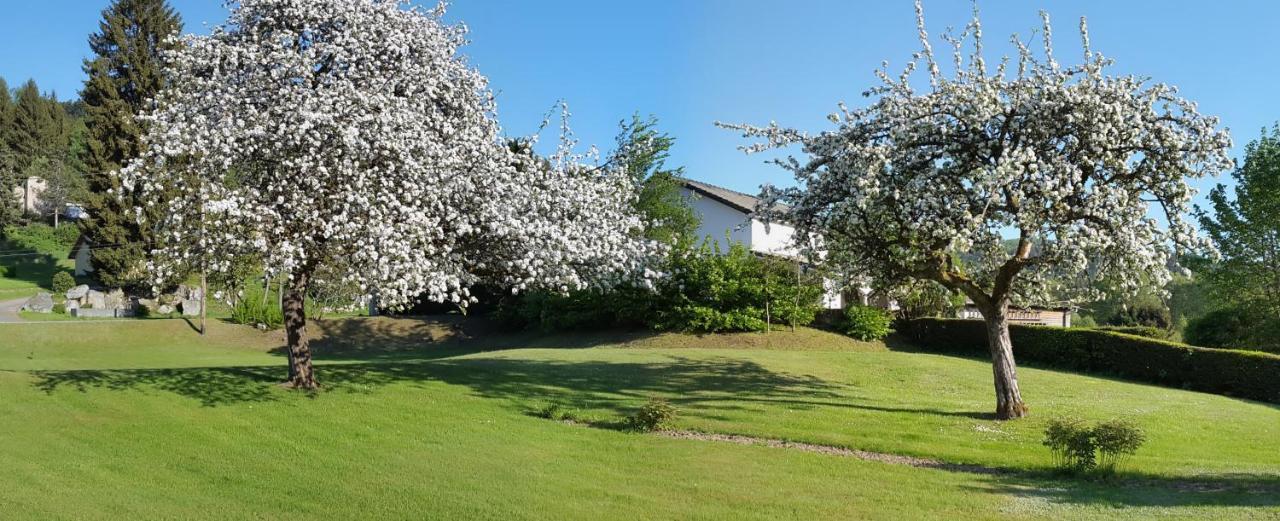 Les Jumeaux Apartment Granges-sur-Vologne Exterior photo